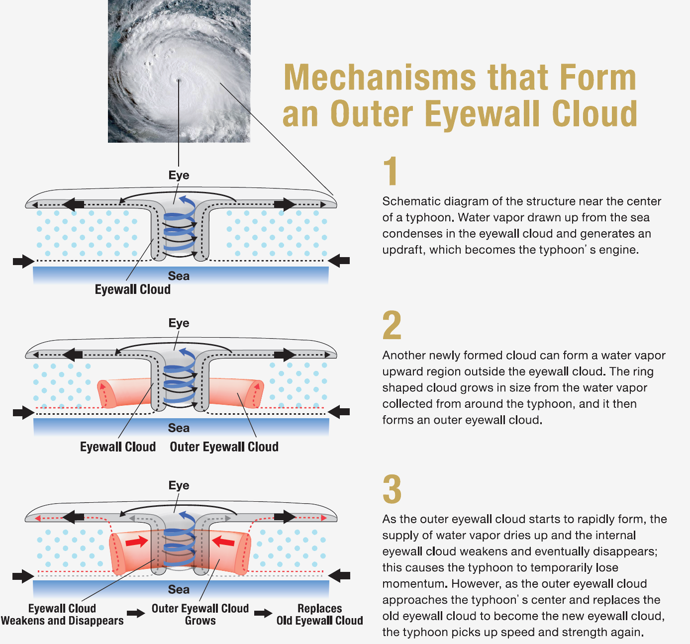 Mechanisms that Forman Outer Eyewall Cloud